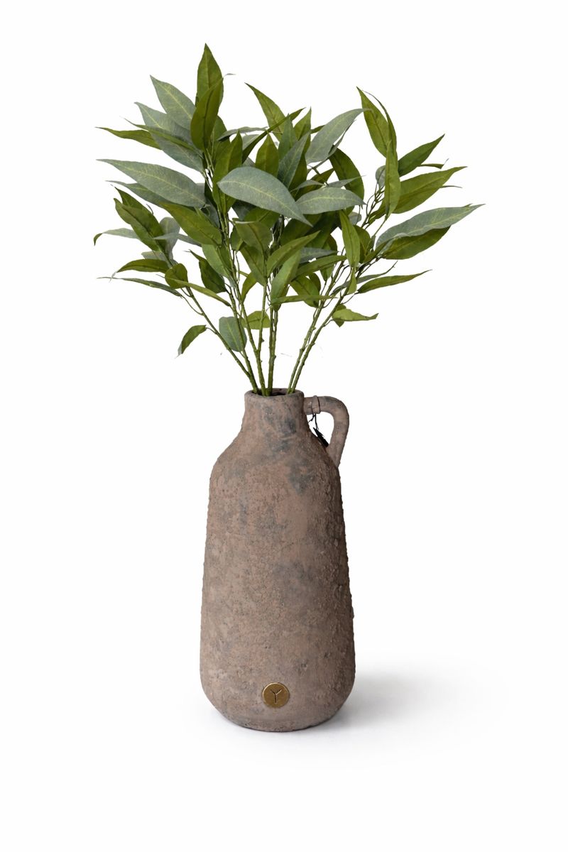 Colmore eucalyptus - 80cm