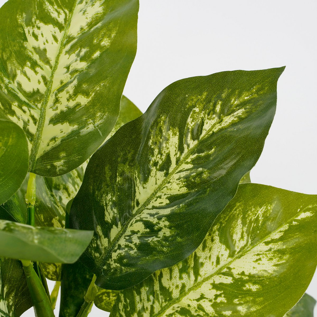 Dieffenbachia kunstplant in bloempot Stan, H40 x Ø30 cm, met realistische groene bladeren en een elegante uitstraling, perfect voor interieurdecoratie.