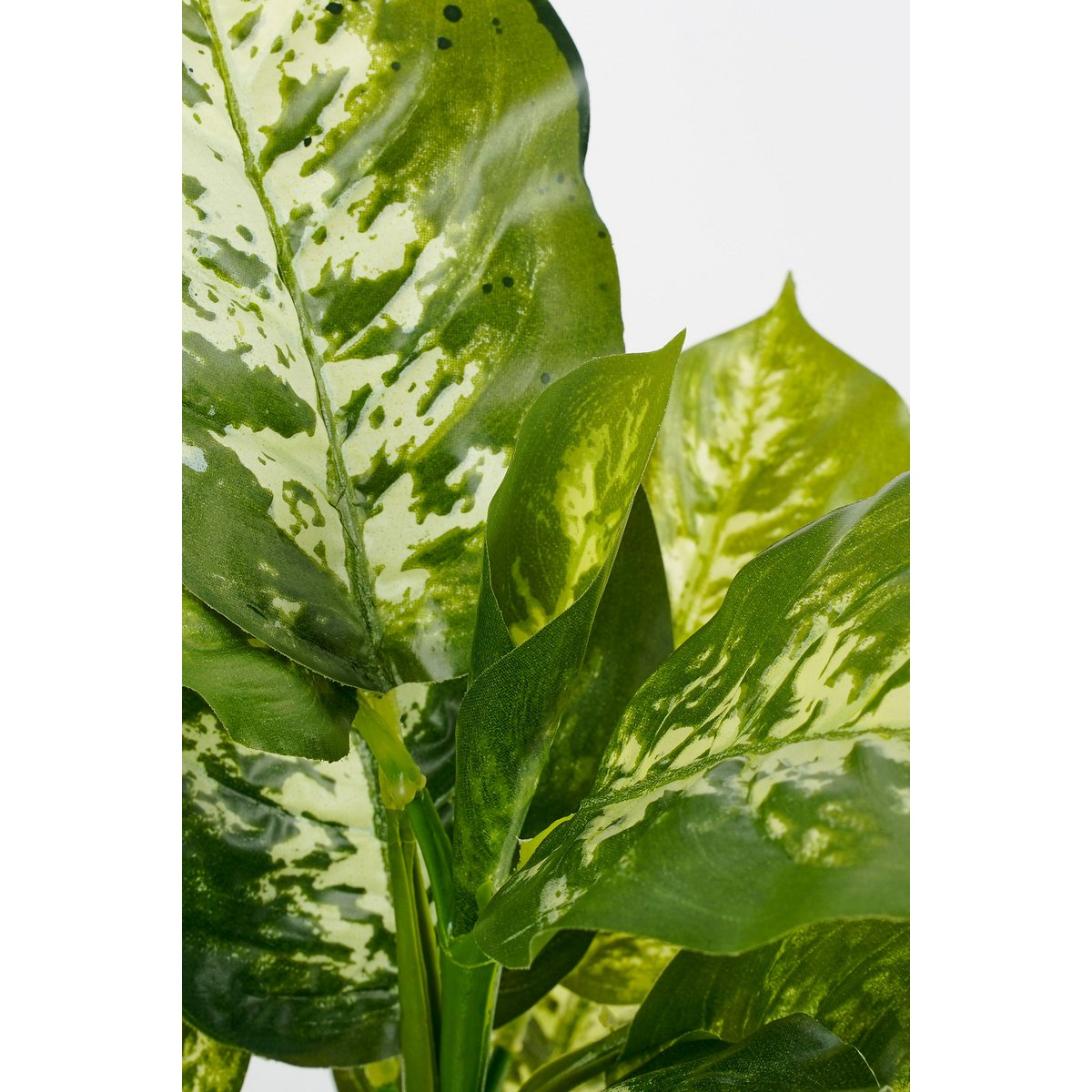 Dieffenbachia kunstplant in bloempot Stan, H40 x Ø30 cm, met realistische groene bladeren en een elegante uitstraling, perfect voor interieurdecoratie.