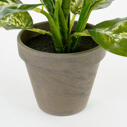 Dieffenbachia kunstplant in bloempot Stan, H40 x Ø30 cm, met realistische groene bladeren en een elegante uitstraling, perfect voor interieurdecoratie.