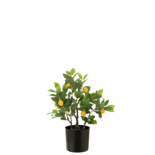 J-Line Kunstmatige Citroenboom in Pot – Groen – 60 cm