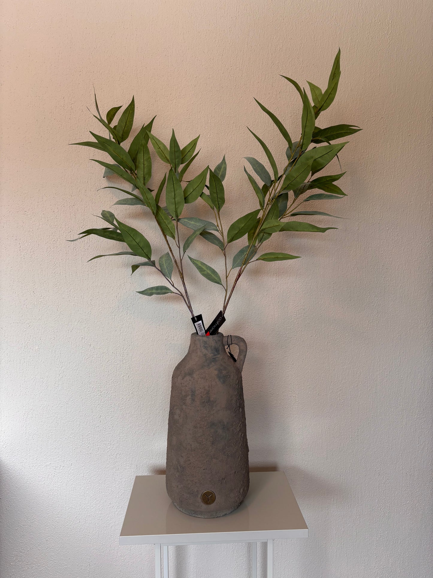 Colmore eucalyptus - 80cm
