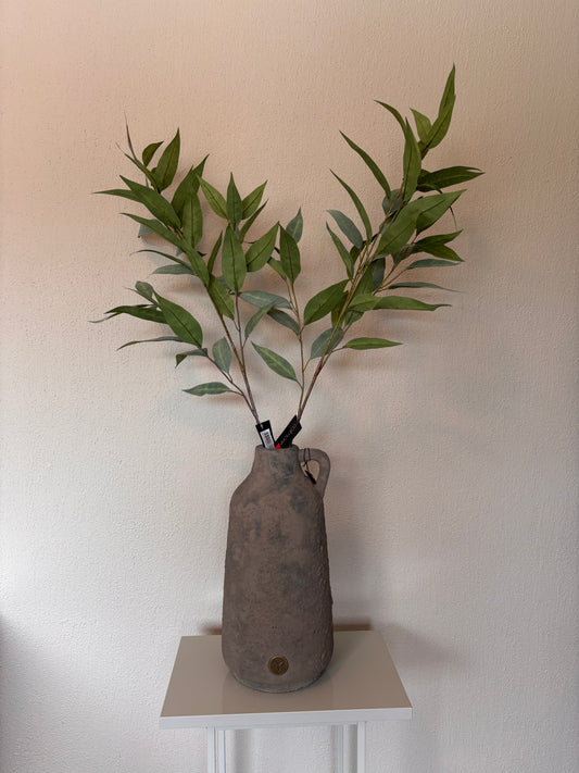 Colmore eucalyptus - 80cm