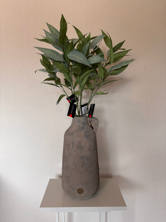 Colmore eucalyptus - 70cm