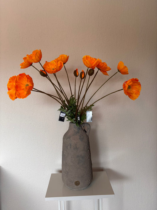 Countryfield Papaver zijdebloem - 95cm