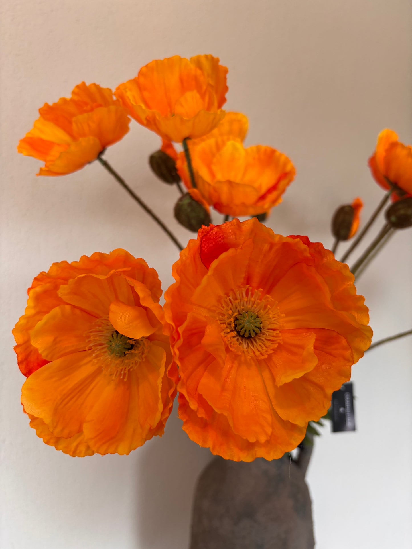 Countryfield Papaver zijdebloem - 95cm