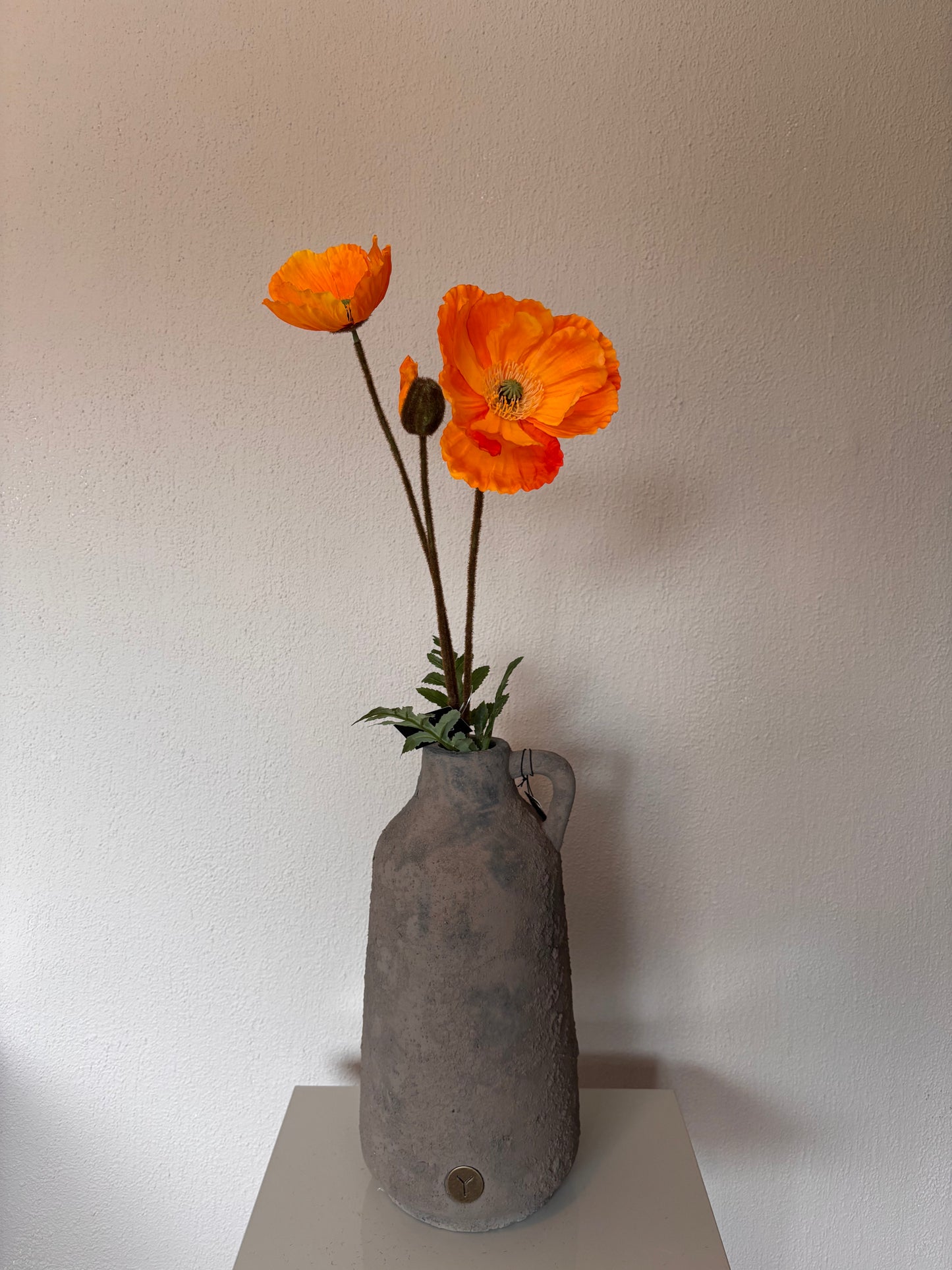 Countryfield Papaver zijdebloem - 95cm