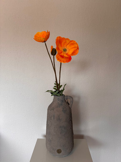 Countryfield Papaver zijdebloem - 95cm