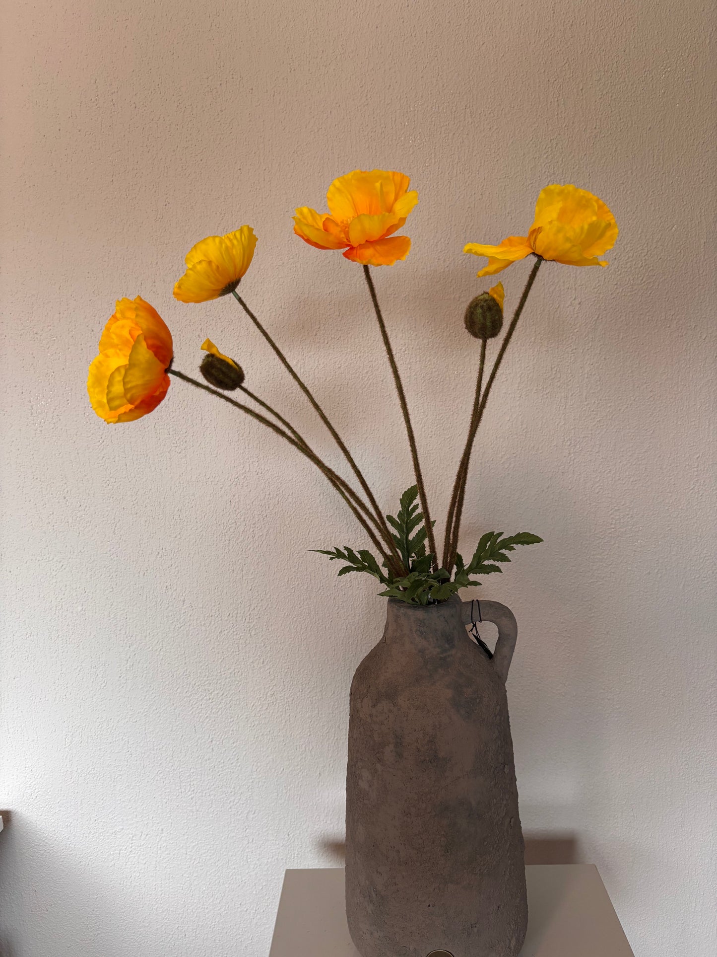 Countryfield Papaver zijdebloem - 95cm