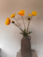Countryfield Papaver zijdebloem - 95cm