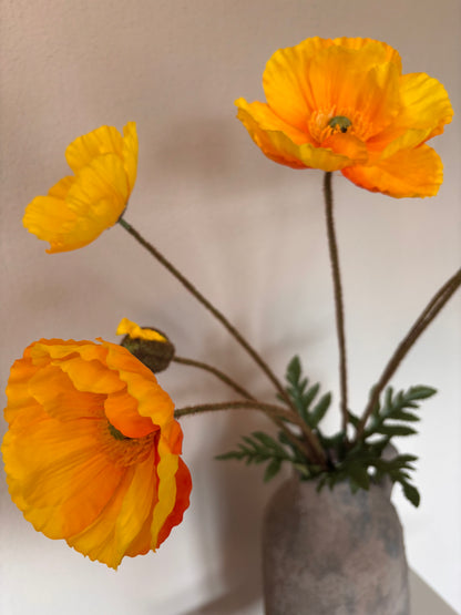 Countryfield Papaver zijdebloem - 95cm