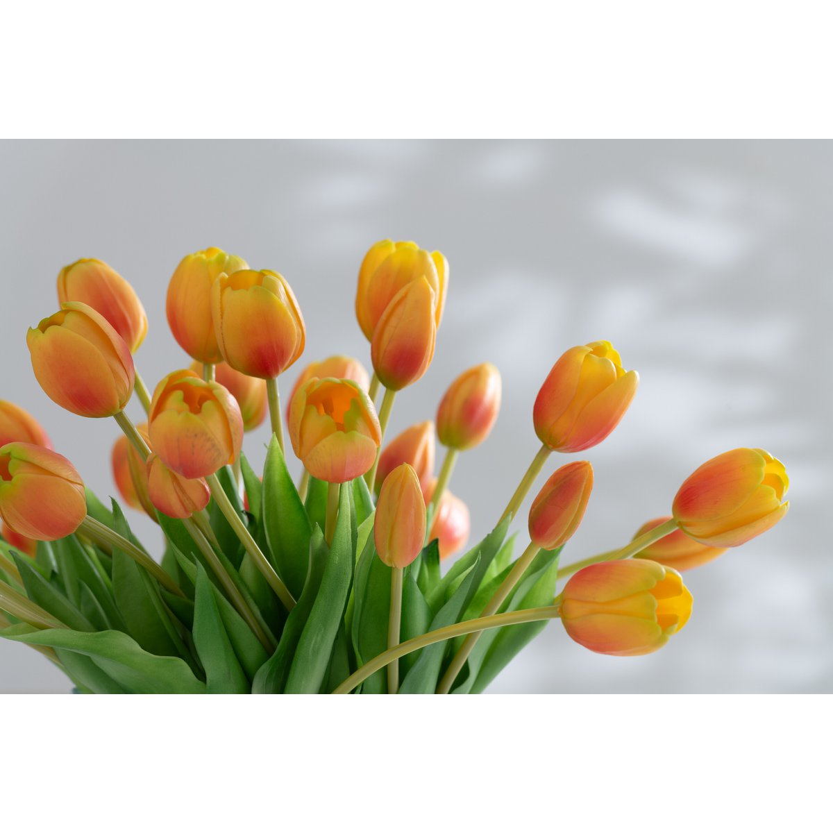 J-Line boeket met 5 grote tulpen in oranje en geel, perfect als kleurrijke en onderhoudsvrije decoratie voor het interieur